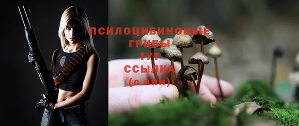 круглые Корсаков