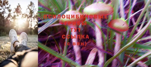 гашиш Коряжма