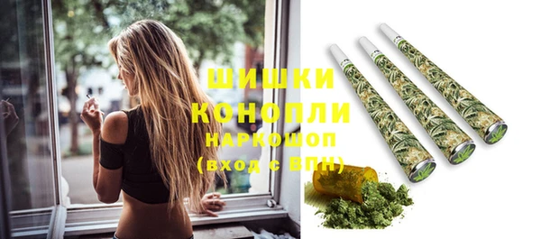 круглые Корсаков