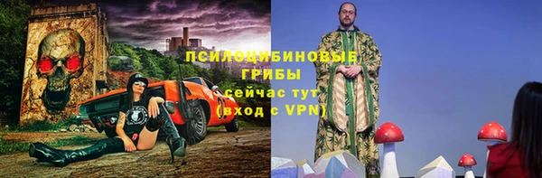 мдпв Костерёво